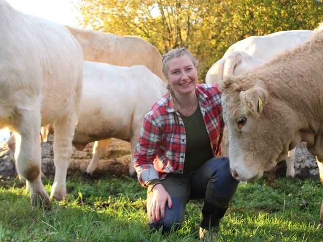 Bankansatt på huk foran en okse