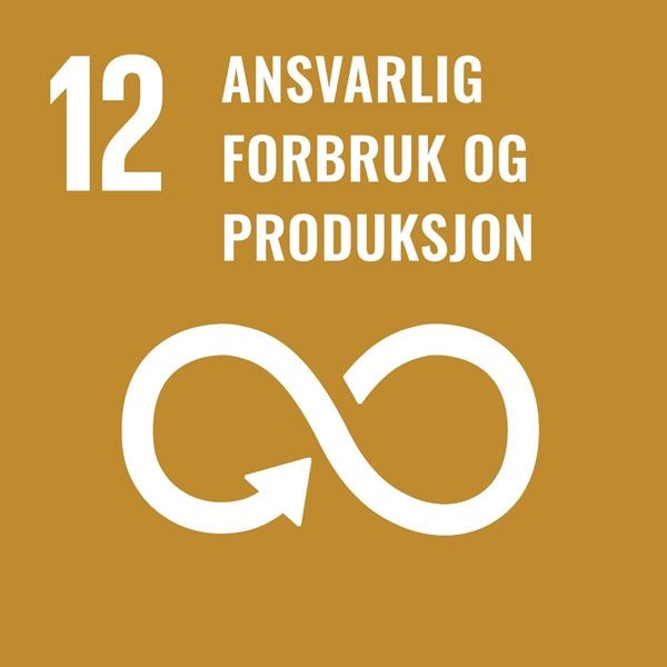 #12 Ansvarlig forbruk og produksjon