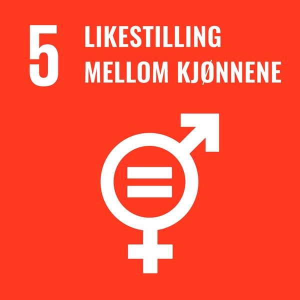 #5 Likestilling mellom kjønnene